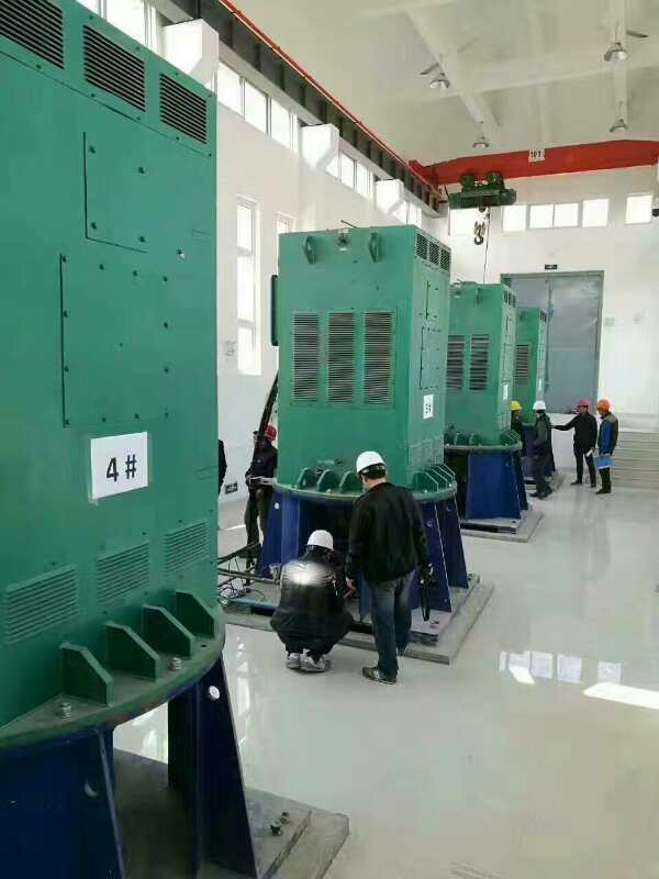 广西某污水处理厂使用我厂的立式高压电机安装现场